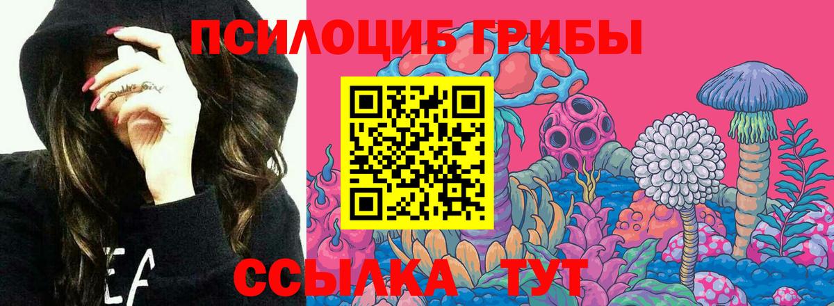 Псилоцибиновые грибы мицелий Чебоксары